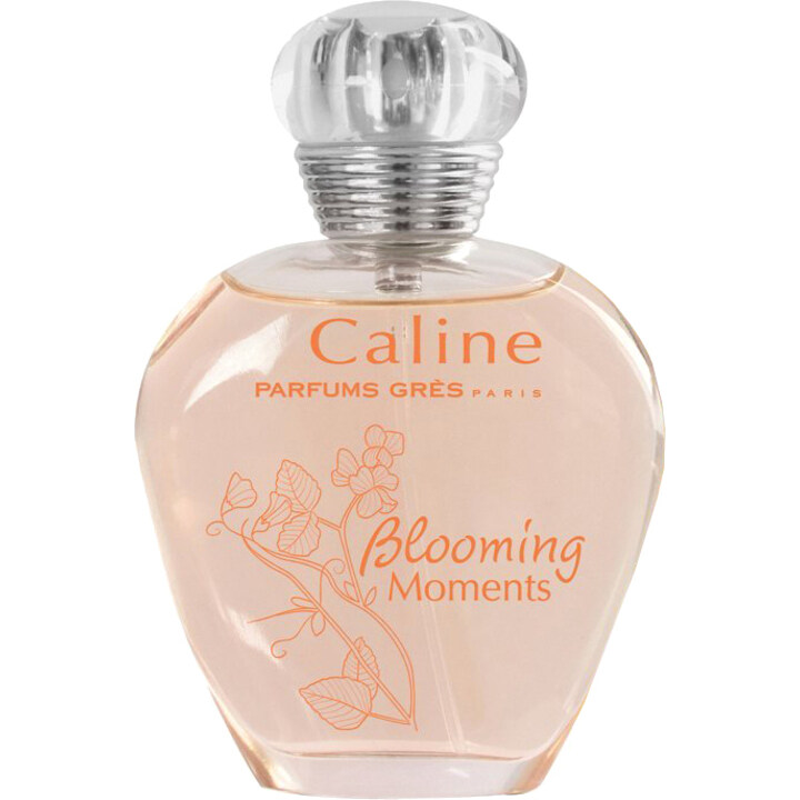 Caline Blooming Moments